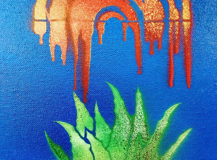 Agave Growing in Paint, 8