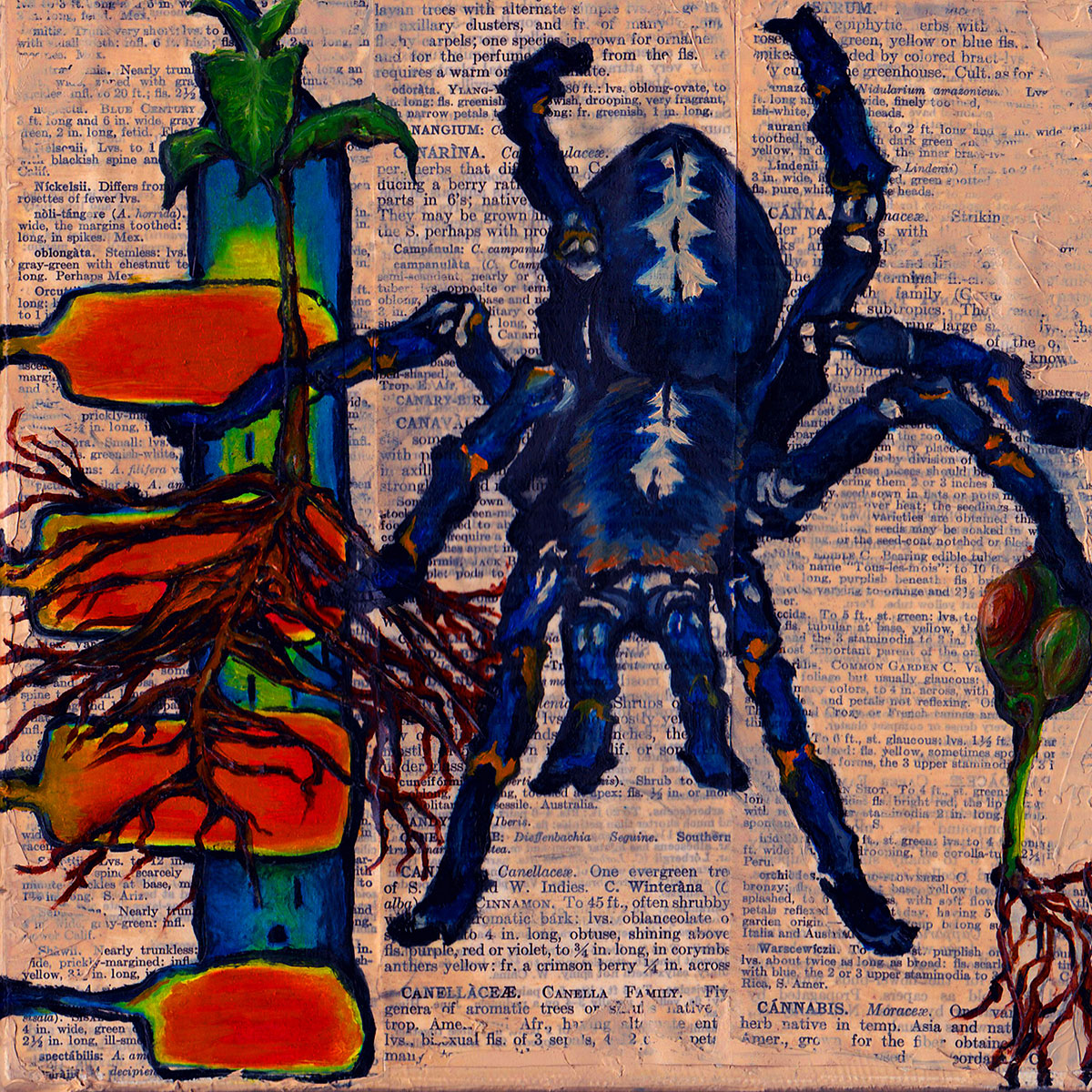 Hunting for the Right Words Series - Cobalt Blue Tarantula - Paintings