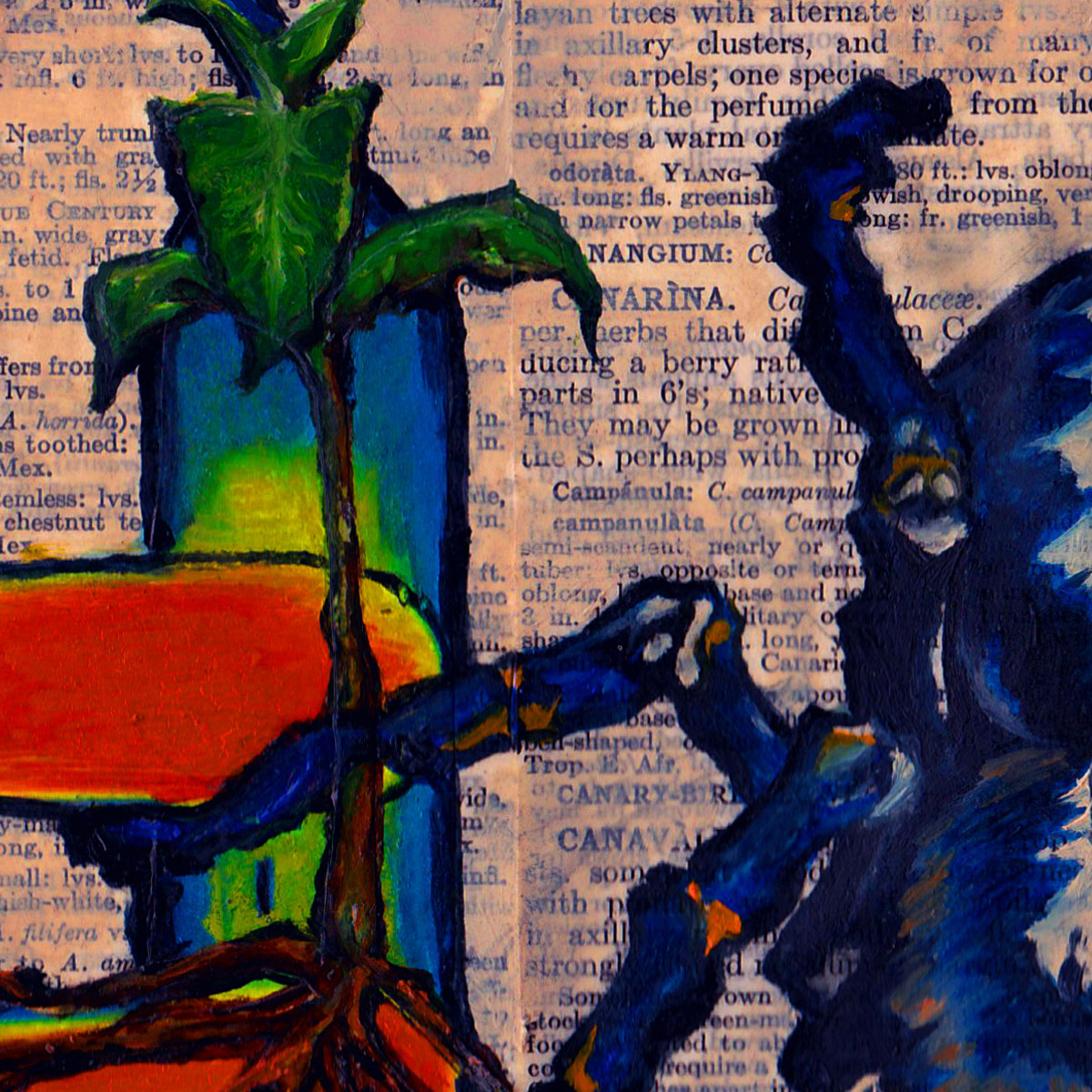 Cobalt Blue Tarantula - Detail