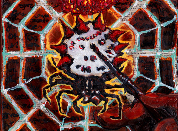 Hunting for the Right Words Series - Spiny Backed Orb Weaver - Paintings