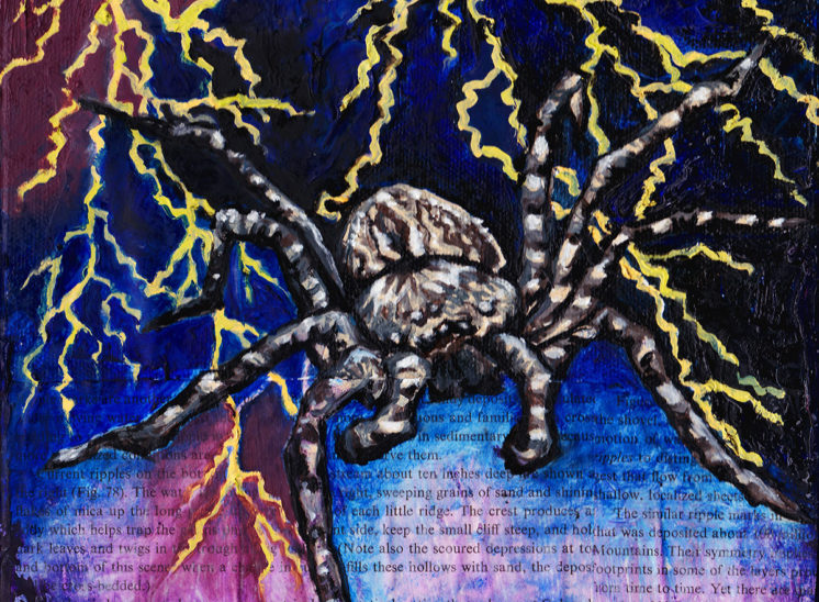 Hunting for the Right Words Series - Wolf Spider - Paintings