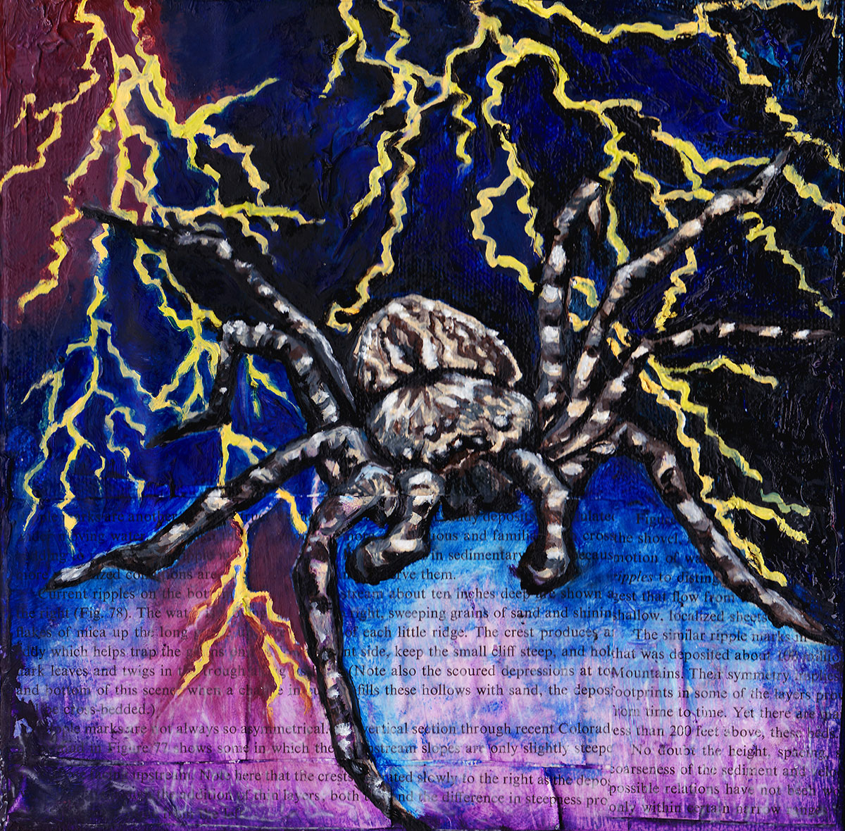 Hunting for the Right Words Series - Wolf Spider - Paintings