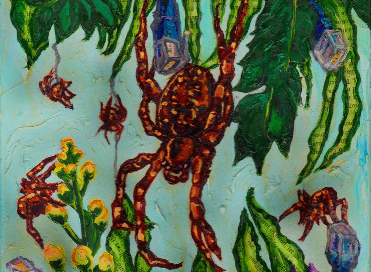 Hunting for the Right Words Series - Garden Orb Weaver - Paintings